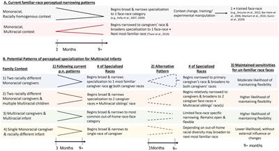 Toward characterization of perceptual specialization for faces in Multiracial contexts